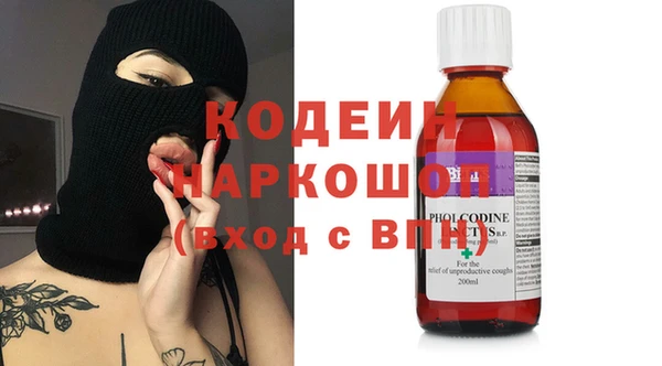 ECSTASY Бородино