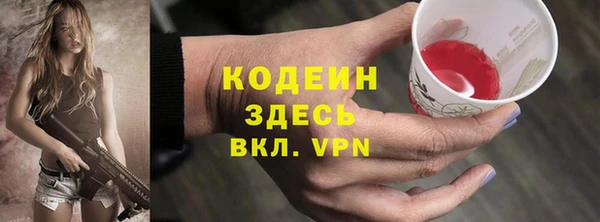 ECSTASY Бородино