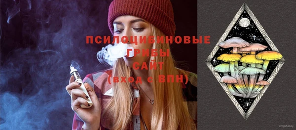ECSTASY Бородино
