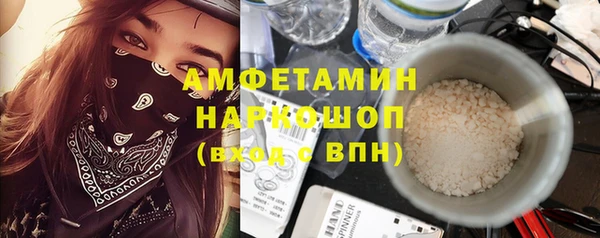 ECSTASY Бородино