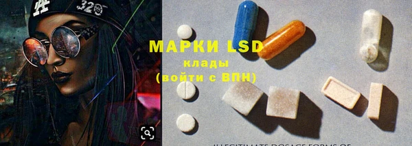 ECSTASY Бородино