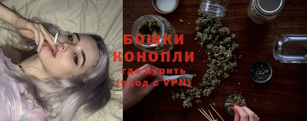 ECSTASY Бородино