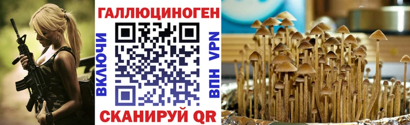 Купить где  Ступино  Псилоцибиновые грибы Psilocybe 